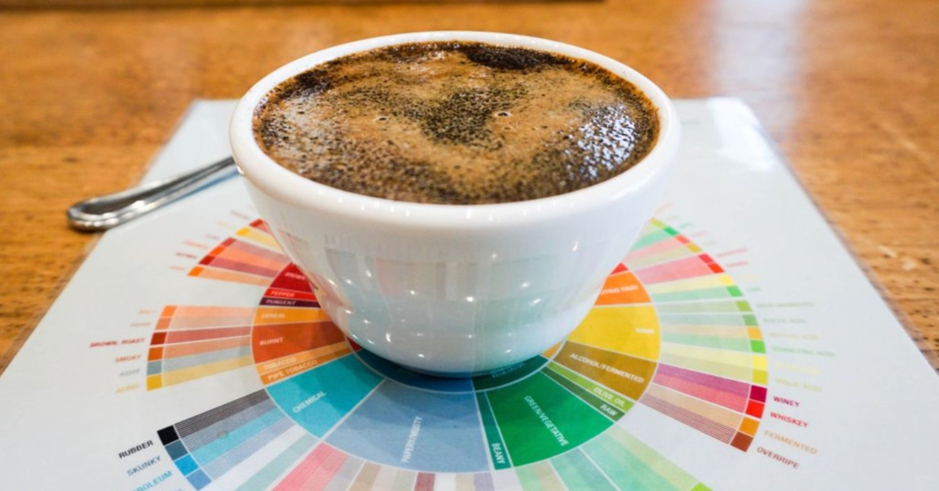Navigating the Coffee Flavor Wheel: A Practical Guide